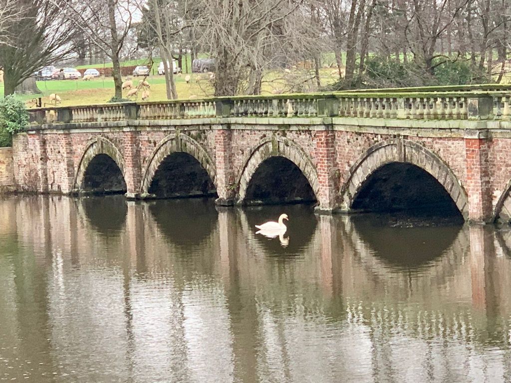 Capesthorne
